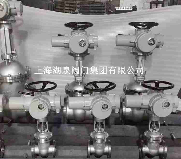 全方位解决方案！电动闸阀Z941H-25 DN300的应用与优势