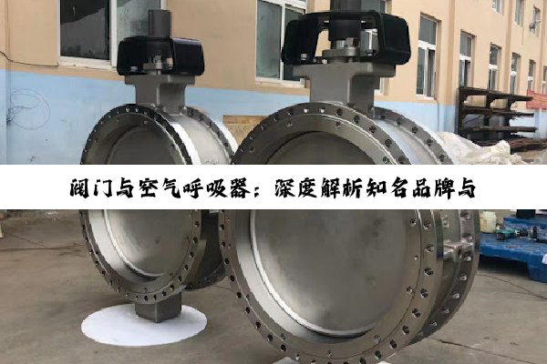阀门与空气呼吸器：深度解析知名品牌与生产厂家