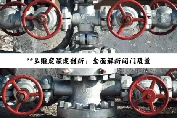 【科普解答】**多维度深度剖析：全面解析阀门质量鉴别之道**