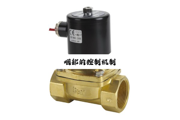 今日科普|咽部的控制机制